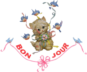 Gif animé bonjour chat
